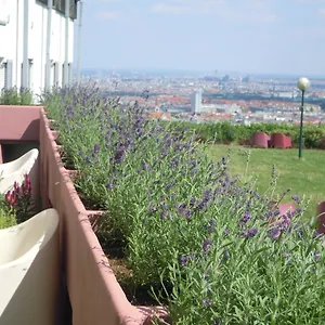 Palace Auberge de jeunesse